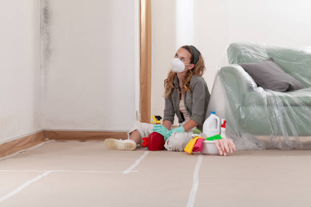 Reliable Mold Remediation contractor in East Boston, MA by WQB Mold Removal
